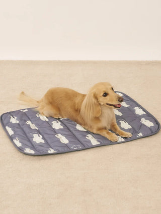 CAT&DOG Polar Bear COOLING Mat
