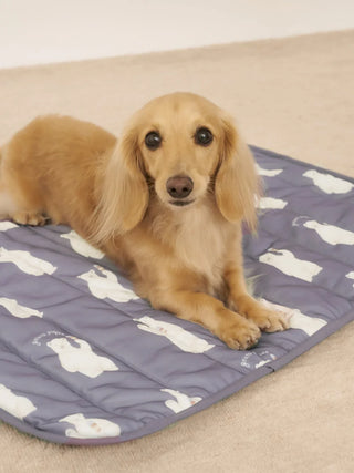 CAT&DOG Polar Bear COOLING Mat