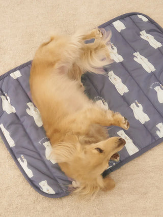 CAT&DOG Polar Bear COOLING Mat