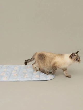 CAT&DOG Polar Bear COOLING Mat