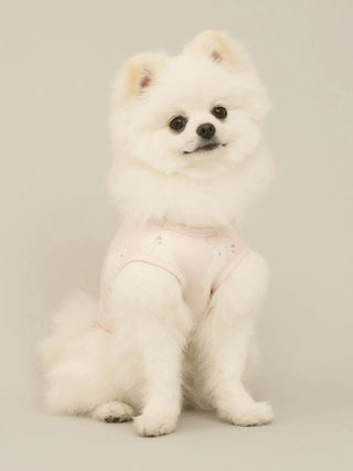 CAT&DOG Polar Bear COOLING Wear