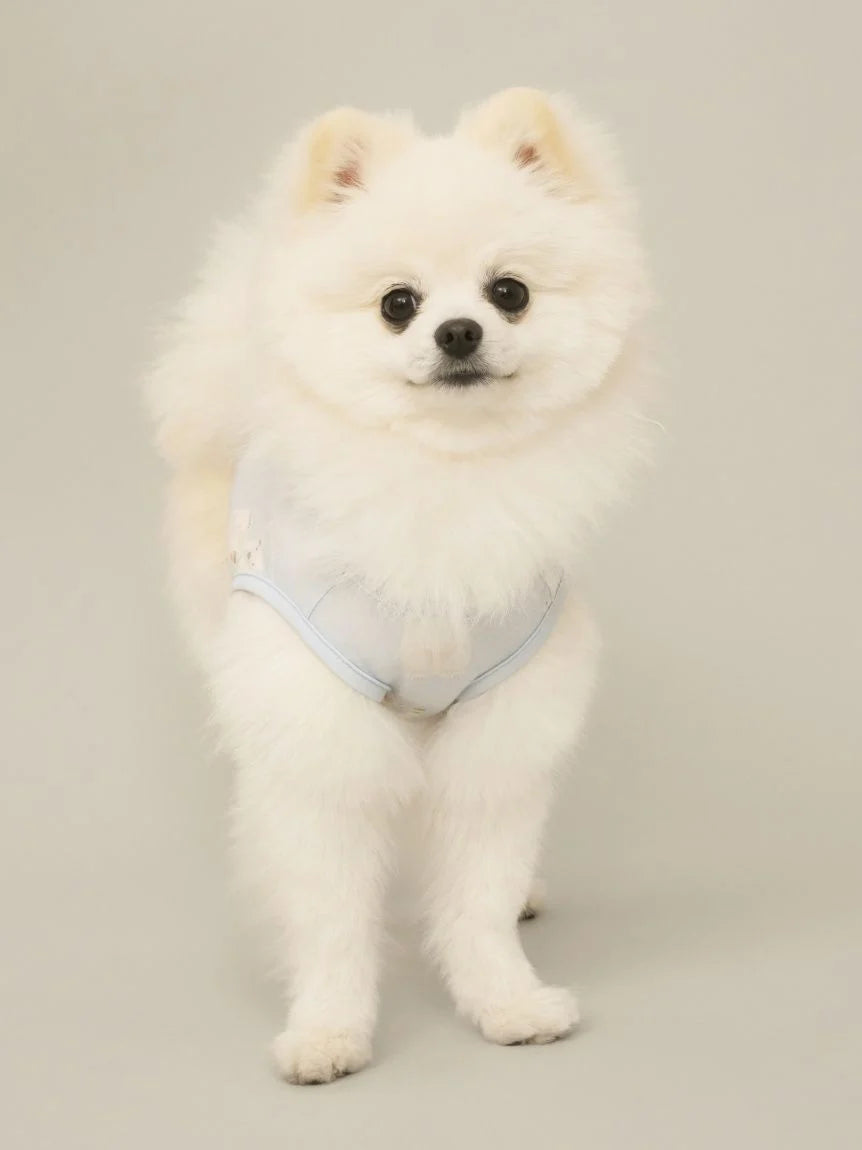 CAT&DOG Polar Bear COOLING Wear