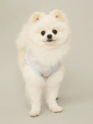 CAT&DOG Polar Bear COOLING Wear