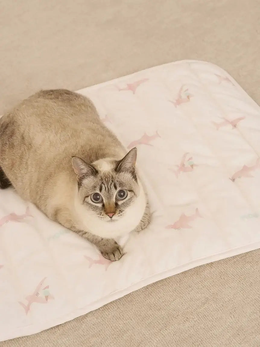 【CAT&DOG】Shark Cooling Mat