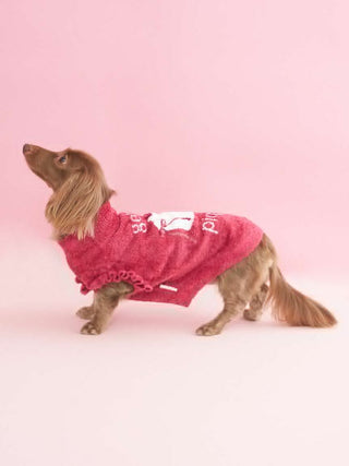 CAT&DOG Smoothie Cake Jacquard Autumn Pullover