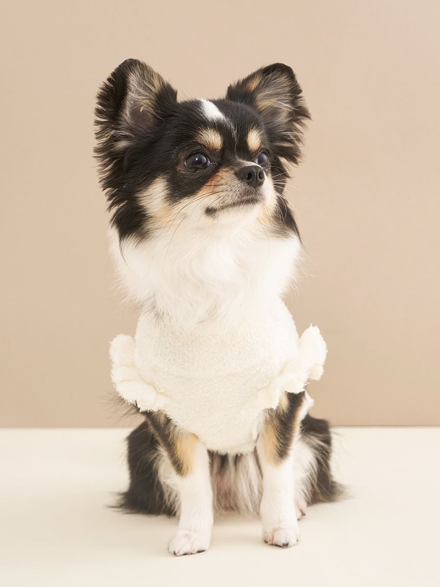 CAT&DOG Smoothie Cake Jacquard Autumn Pullover
