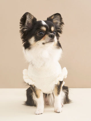 CAT&DOG Smoothie Cake Jacquard Autumn Pullover