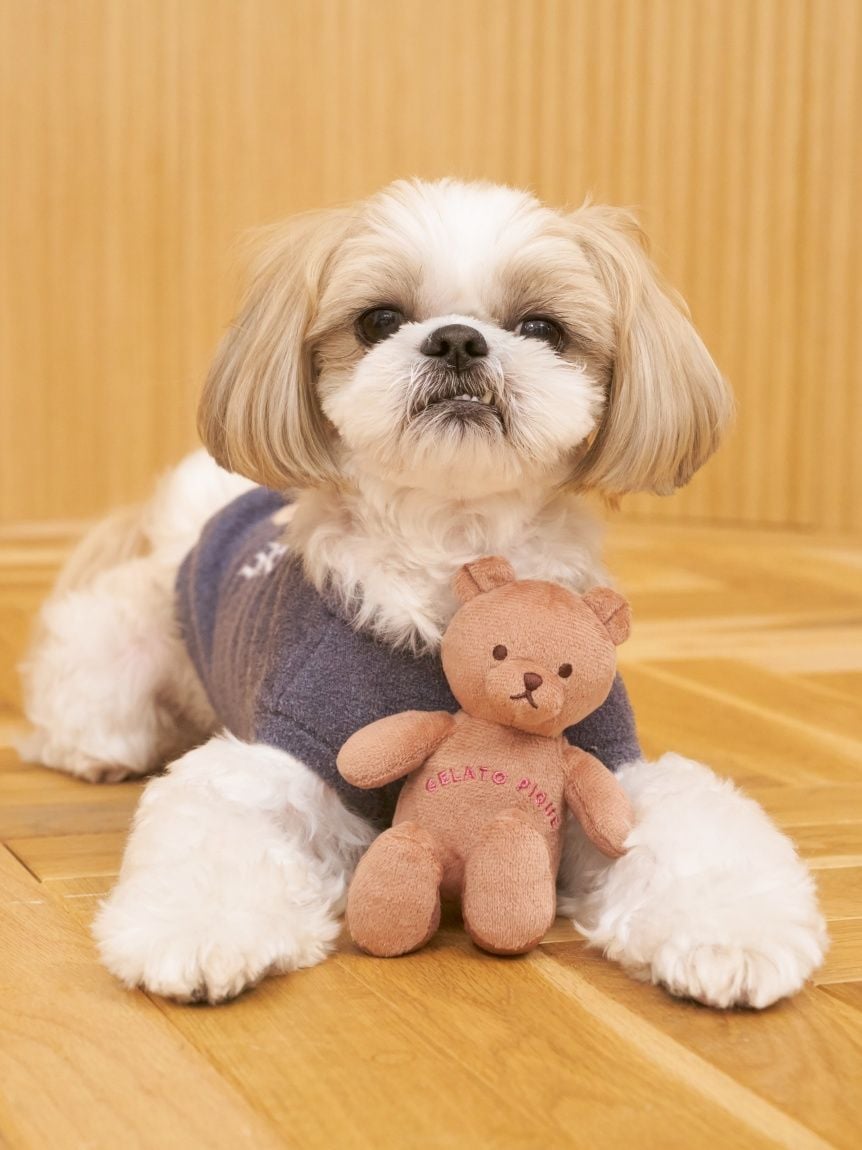 CAT&DOG Smoothie Bear Jacquard Pullover