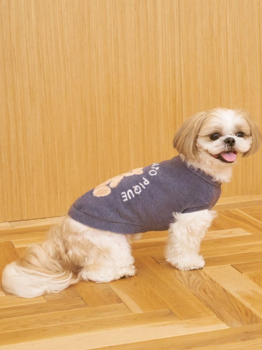CAT&DOG Smoothie Bear Jacquard Pullover