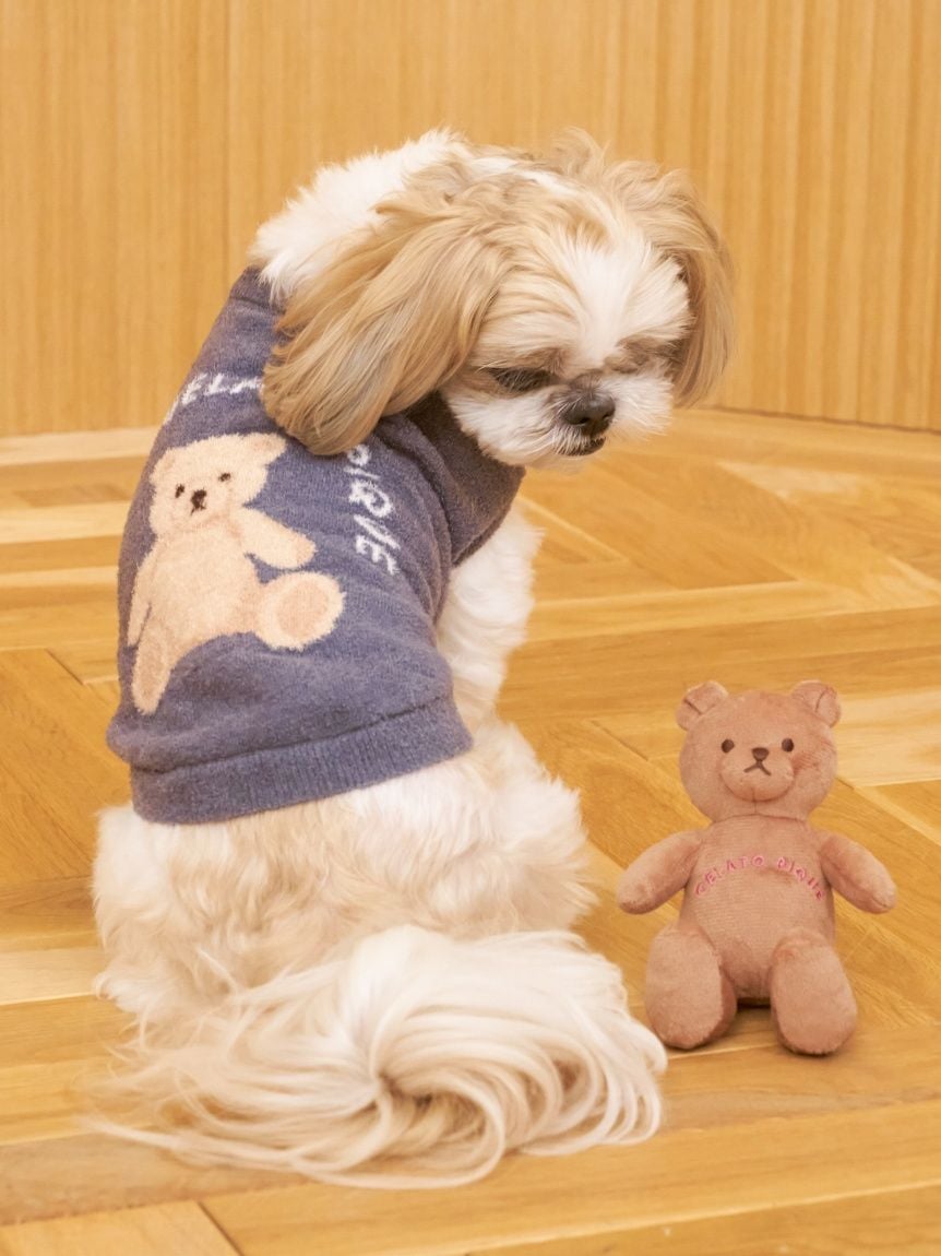 CAT&DOG Smoothie Bear Jacquard Pullover