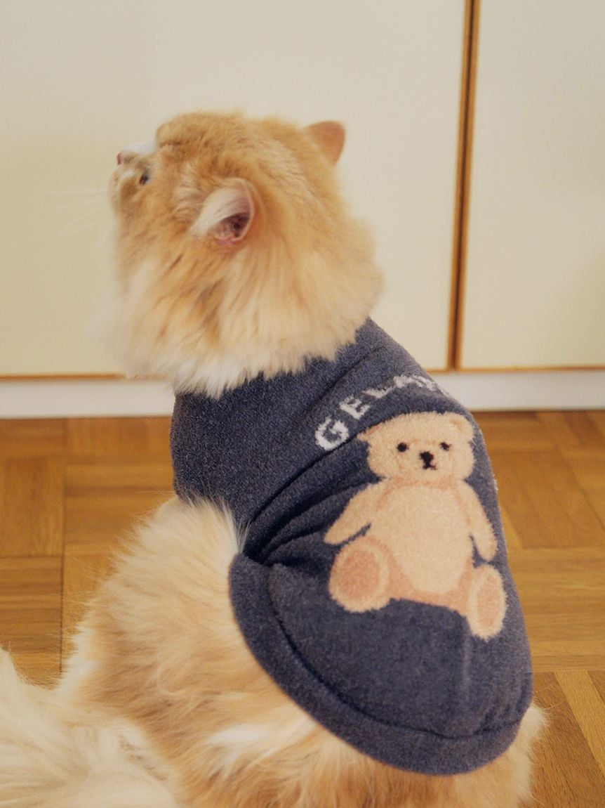CAT&DOG Smoothie Bear Jacquard Pullover
