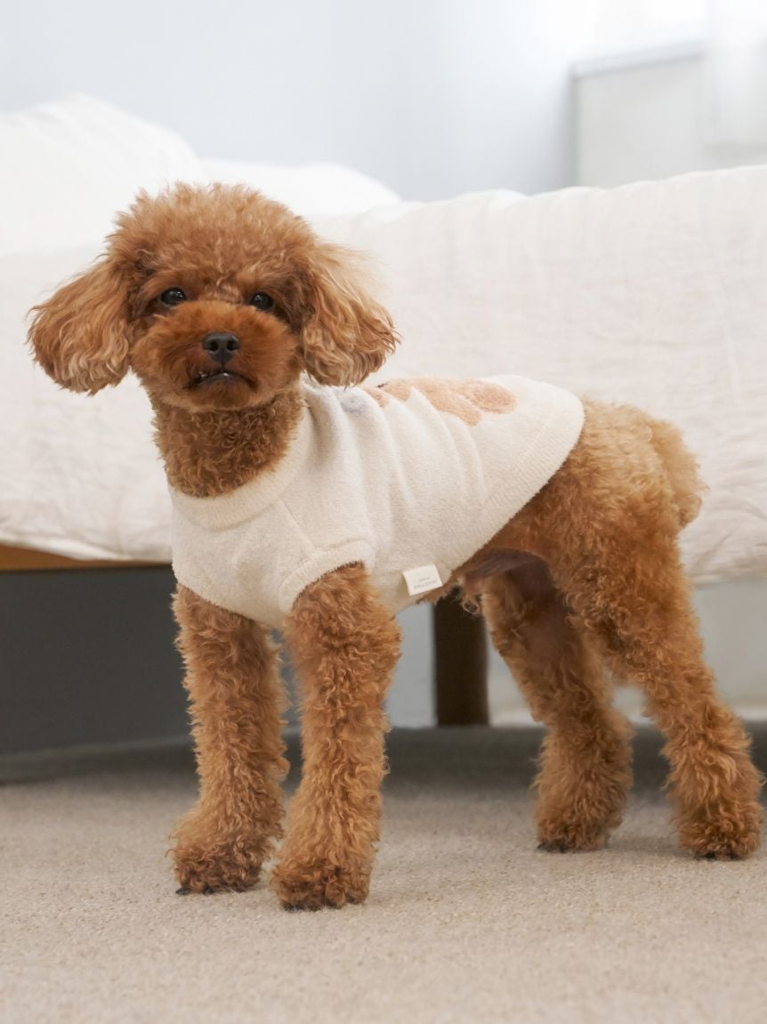 CAT&DOG Smoothie Bear Jacquard Pullover