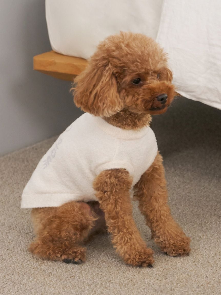 CAT&DOG Smoothie Bear Jacquard Pullover