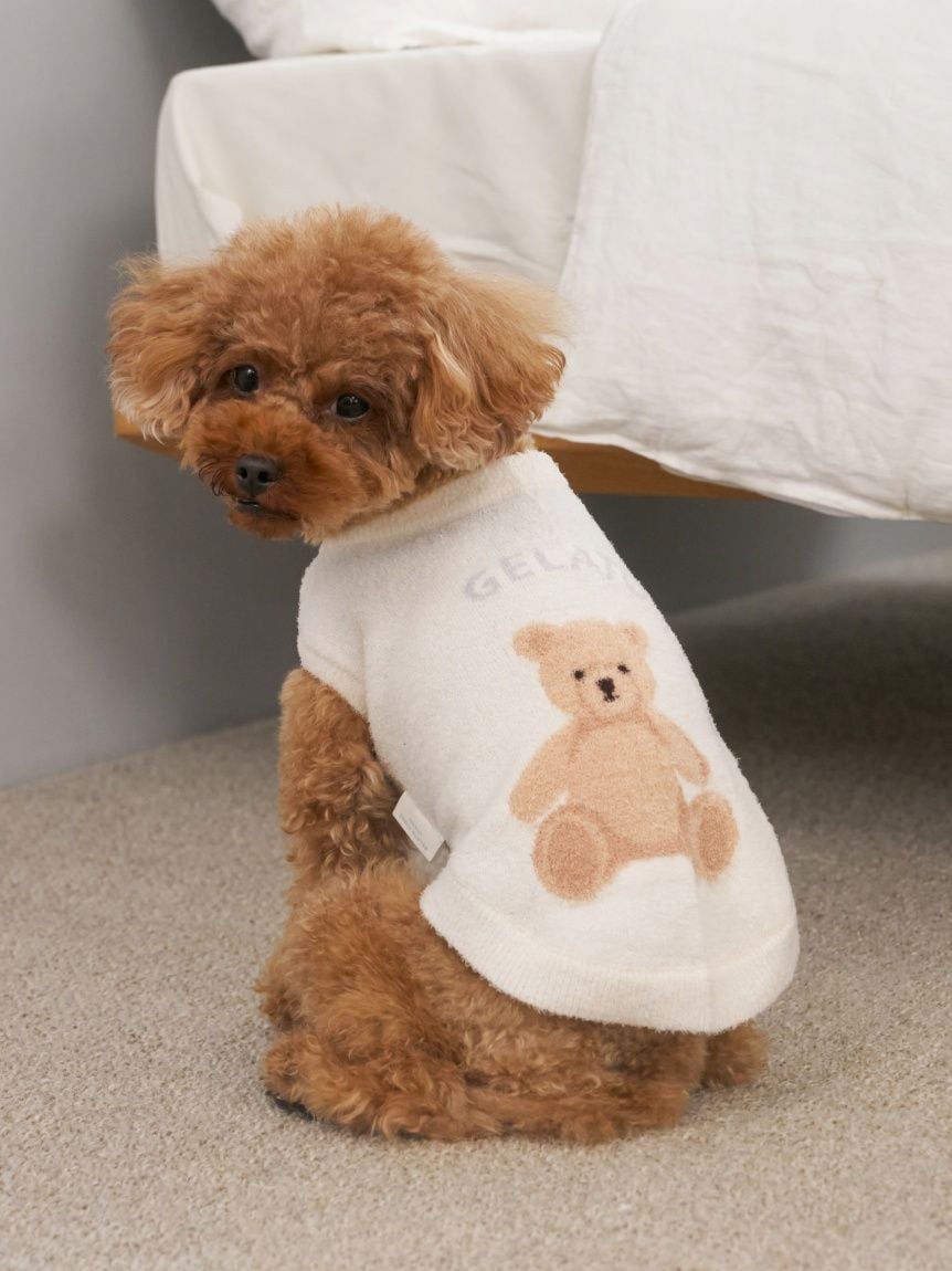 CAT&DOG Smoothie Bear Jacquard Pullover