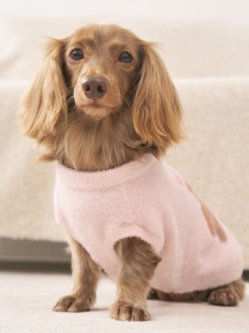CAT&DOG Smoothie Bear Jacquard Pullover
