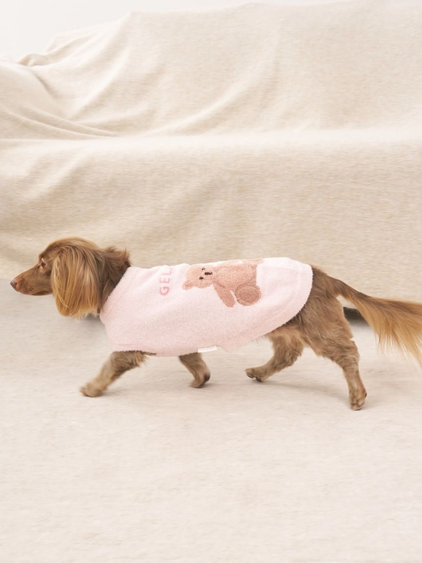 CAT&DOG Smoothie Bear Jacquard Pullover