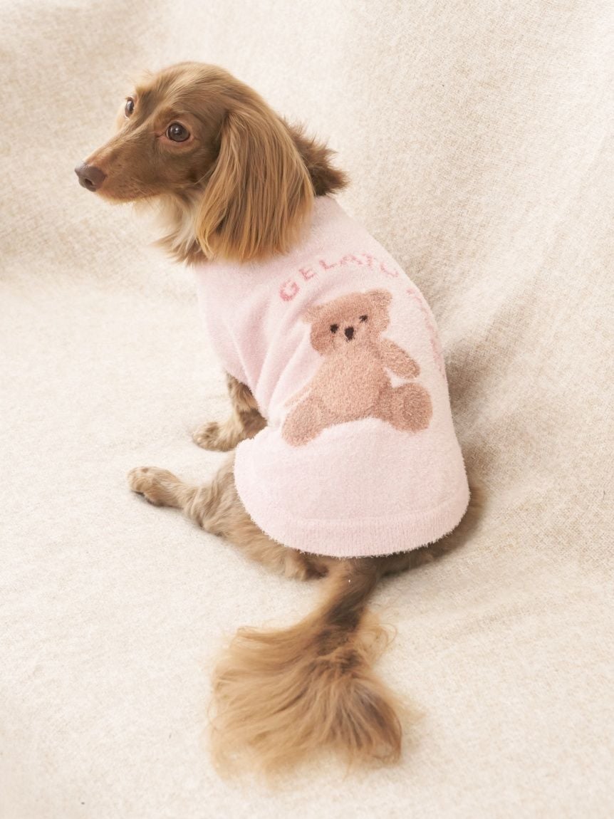 CAT&DOG Smoothie Bear Jacquard Pullover