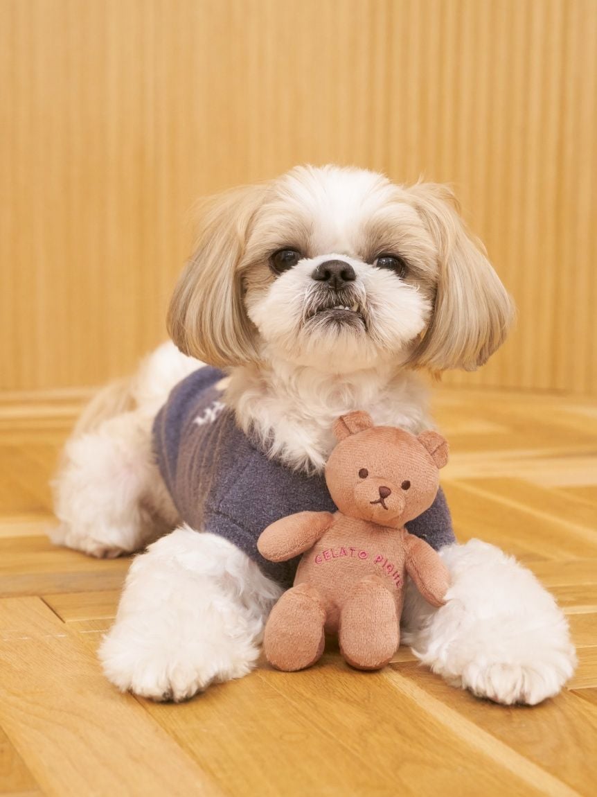 CAT&DOG Autumn Bear Toy