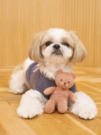 CAT&DOG Autumn Bear Toy gelato pique