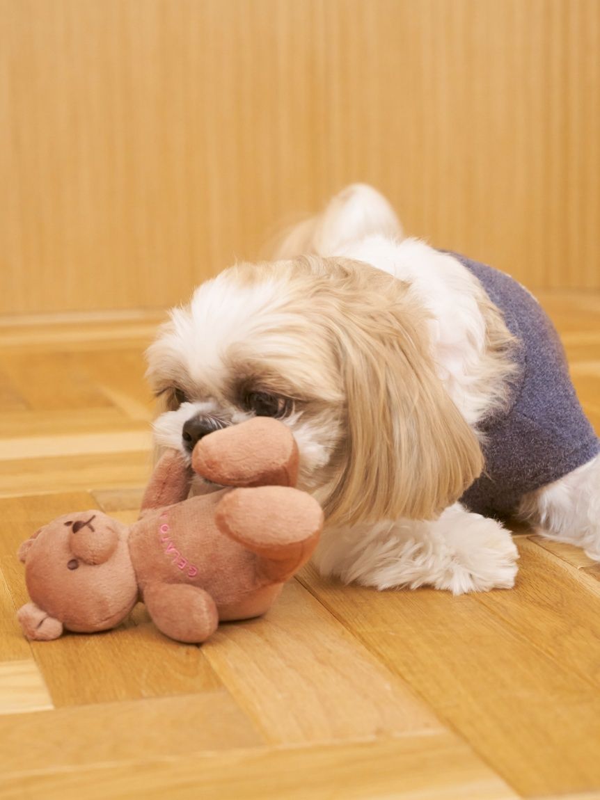 CAT&DOG Autumn Bear Toy