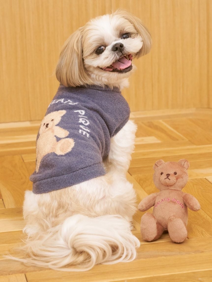 CAT&DOG Autumn Bear Toy
