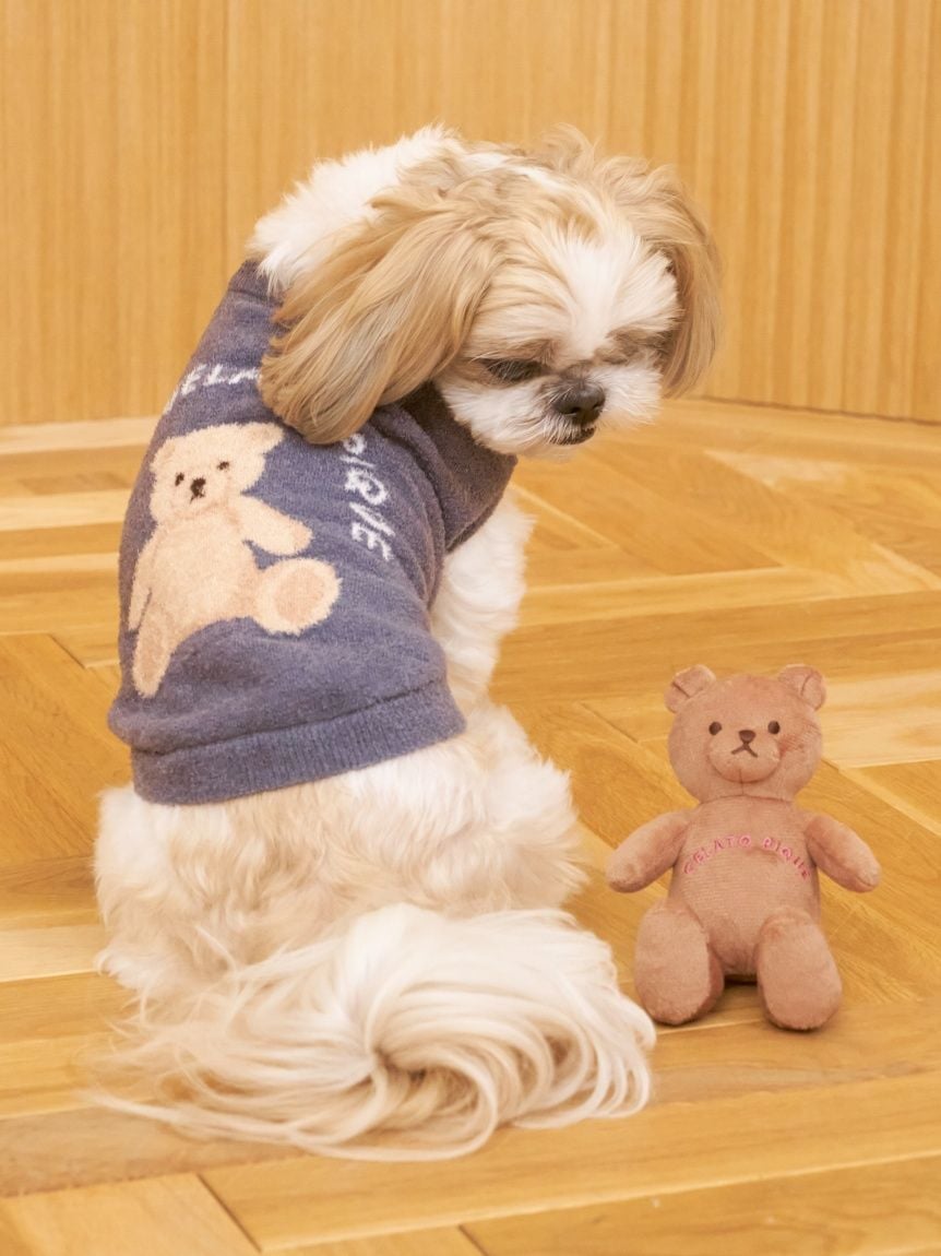 CAT&DOG Autumn Bear Toy