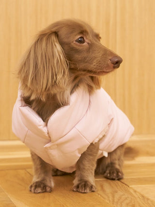 [CAT&DOG] Padded Vest