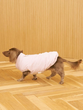 [CAT&DOG] Padded Vest