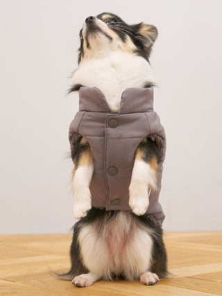[CAT&DOG] Padded Vest