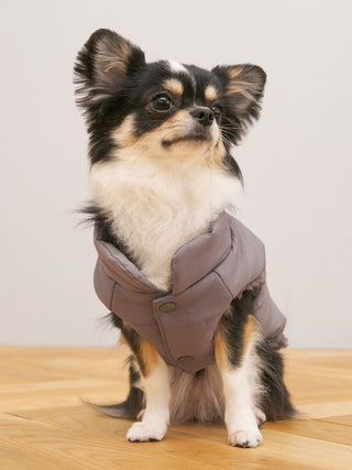 [CAT&DOG] Padded Vest