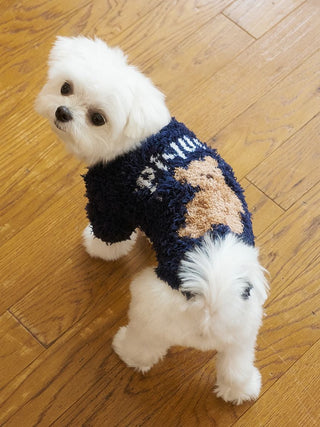 [HOLIDAY] [CAT&DOG] Gelato Snow Bear Jacquard Pullover
