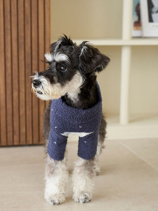 [HOLIDAY][CAT&DOG] Skiing Bear Jacquard Pet Pullover