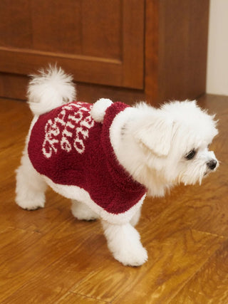 [HOLIDAY] [CAT & DOG] Baby Moco Santa Cape