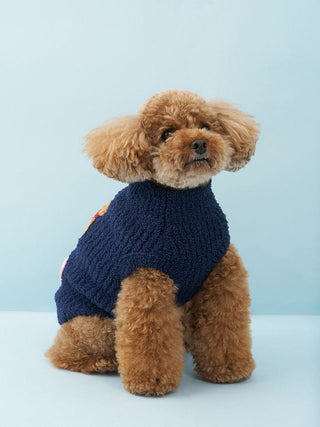 [CAT&DOG] Baby Moco Teddy Bear Sagara Pet Pullover