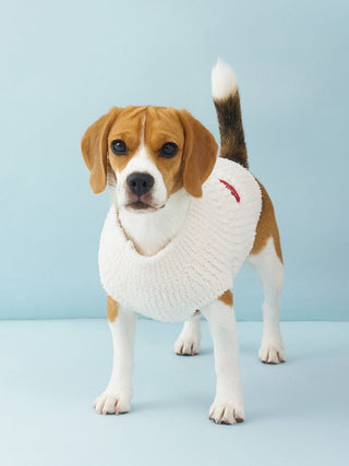 [CAT&DOG] Baby Moco Teddy Bear Sagara Pet Pullover