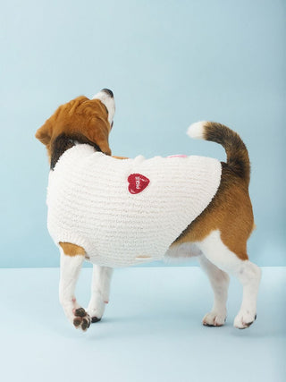 [CAT&DOG] Baby Moco Teddy Bear Sagara Pet Pullover