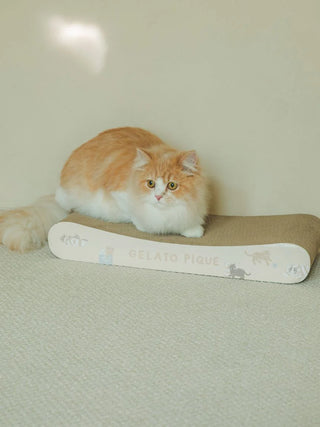 Cat resting on the Gelato Pique Cat Pattern Scratching Board, showcasing its adorable design in a cozy room setting.