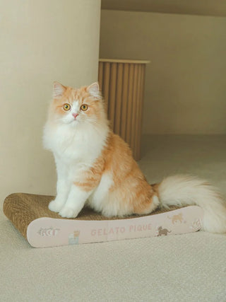 Cream and orange cat sitting on Gelato Pique cat pattern scratching board in a modern indoor setting.