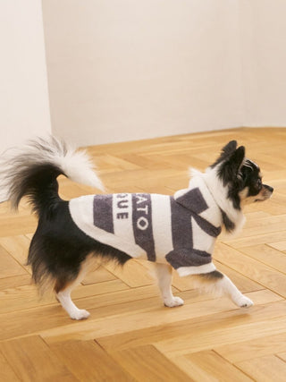 [CAT & DOG] Smoothie 2-Stripe Hoodie