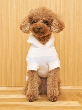 [CAT & DOG] Smoothie 2-Stripe Hoodie