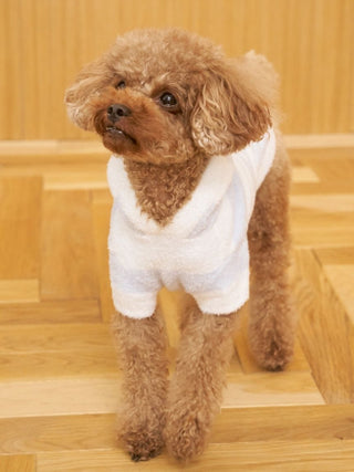 [CAT & DOG] Smoothie 2-Stripe Hoodie
