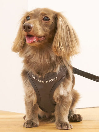 [CAT & DOG] Open-Back Harness