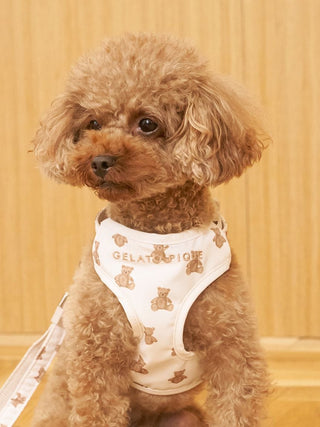 [CAT & DOG] Open-Back Harness