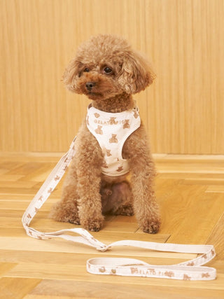 [CAT & DOG] Open-Back Harness