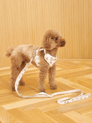 [CAT & DOG] Open-Back Harness