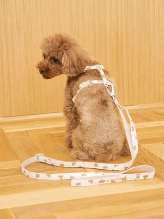 [CAT & DOG] Open-Back Harness