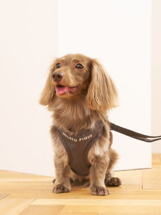 [CAT & DOG] Open-Back Harness