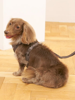 [CAT & DOG] Open-Back Harness
