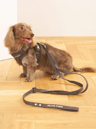 [CAT & DOG] Open-Back Harness