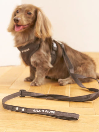 [CAT & DOG] Open-Back Harness